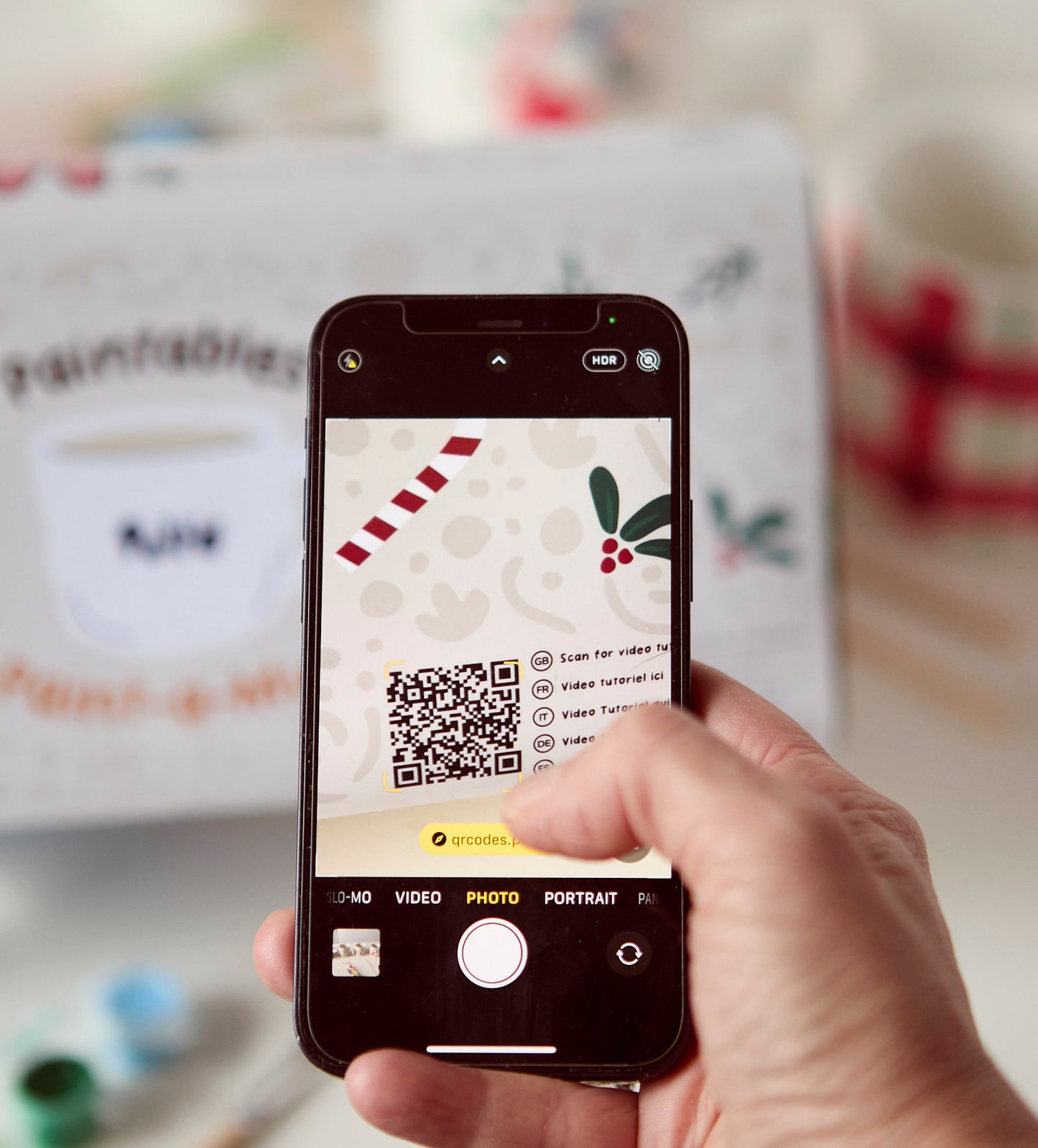 Christmas Paint-a-Mug