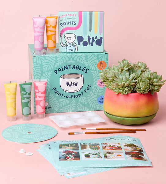 Verf-een-Plantpot
