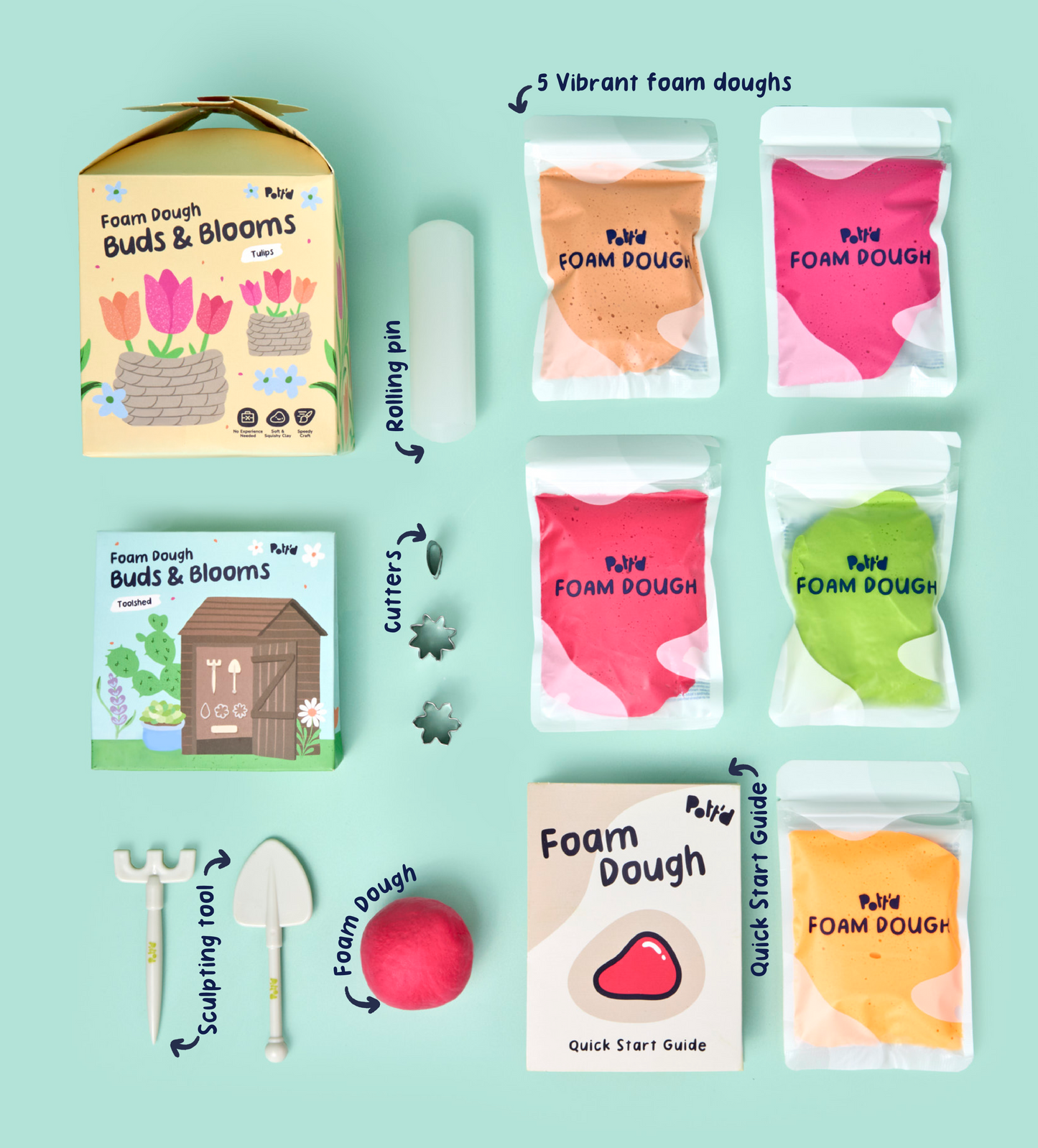 Buds & Blooms: Tulips