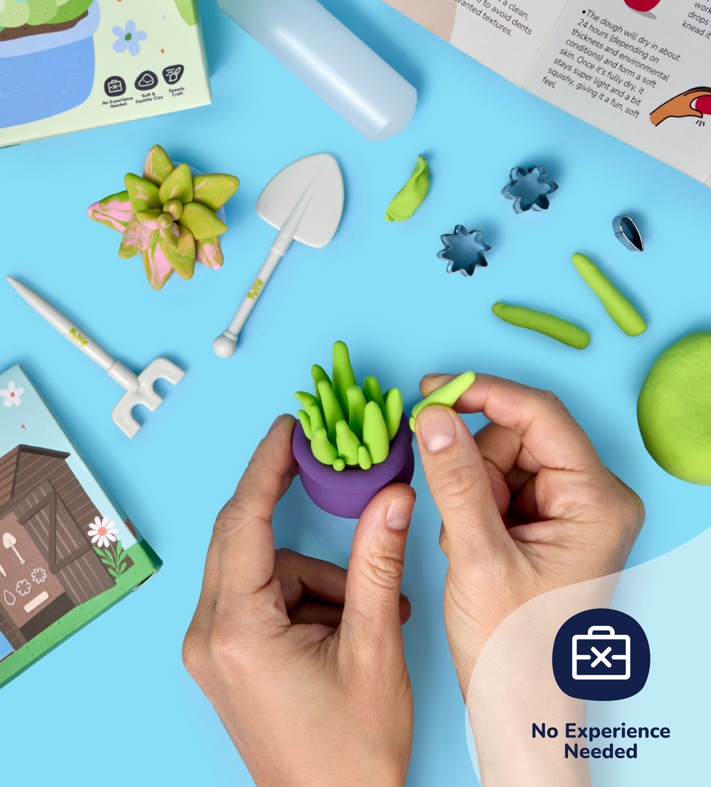 Buds & Blooms: Succulents