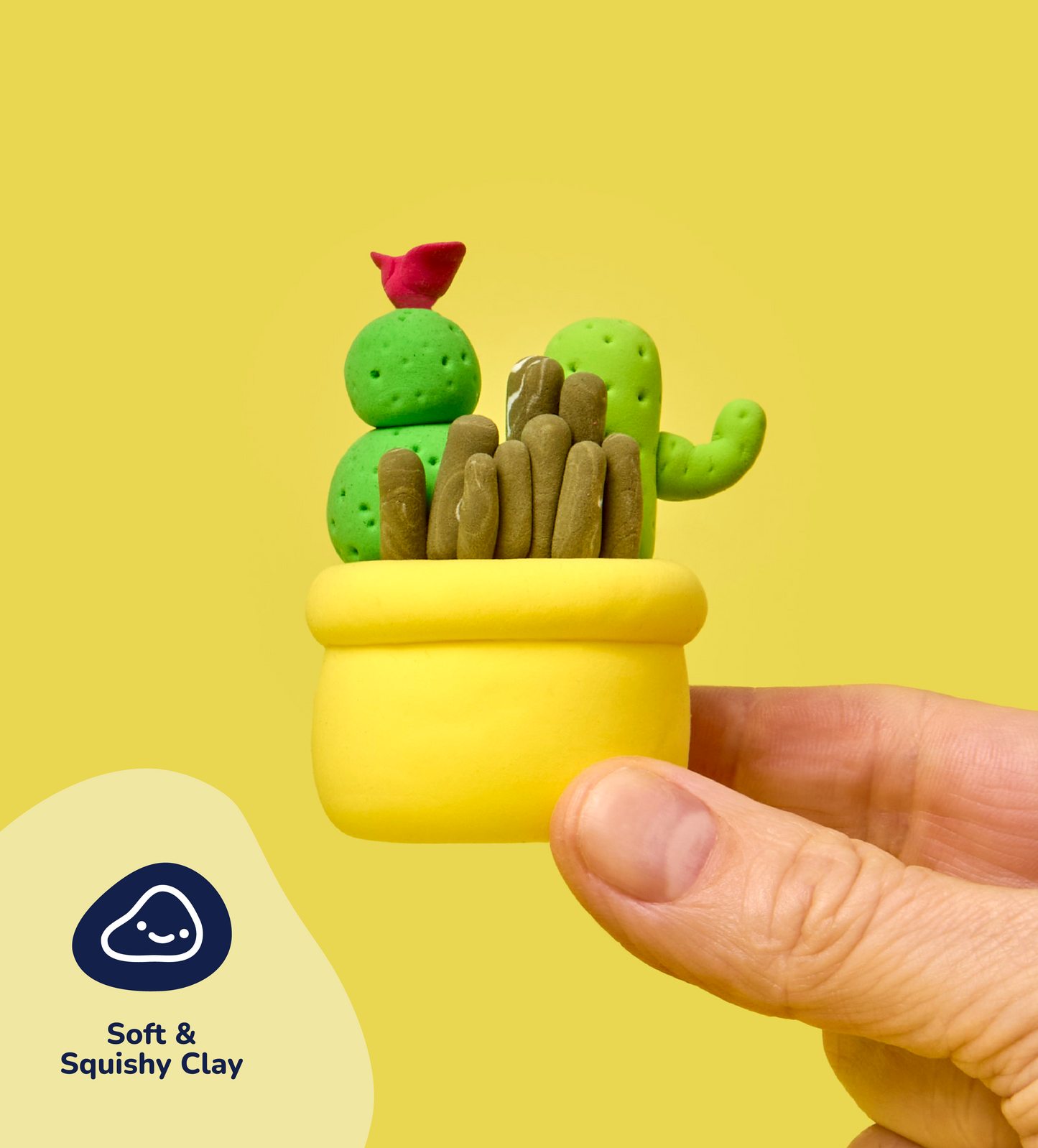 Buds & Blooms: Cacti Trio