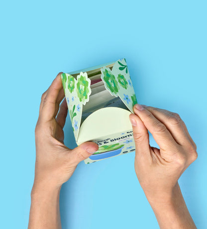 Buds & Blooms: Succulents