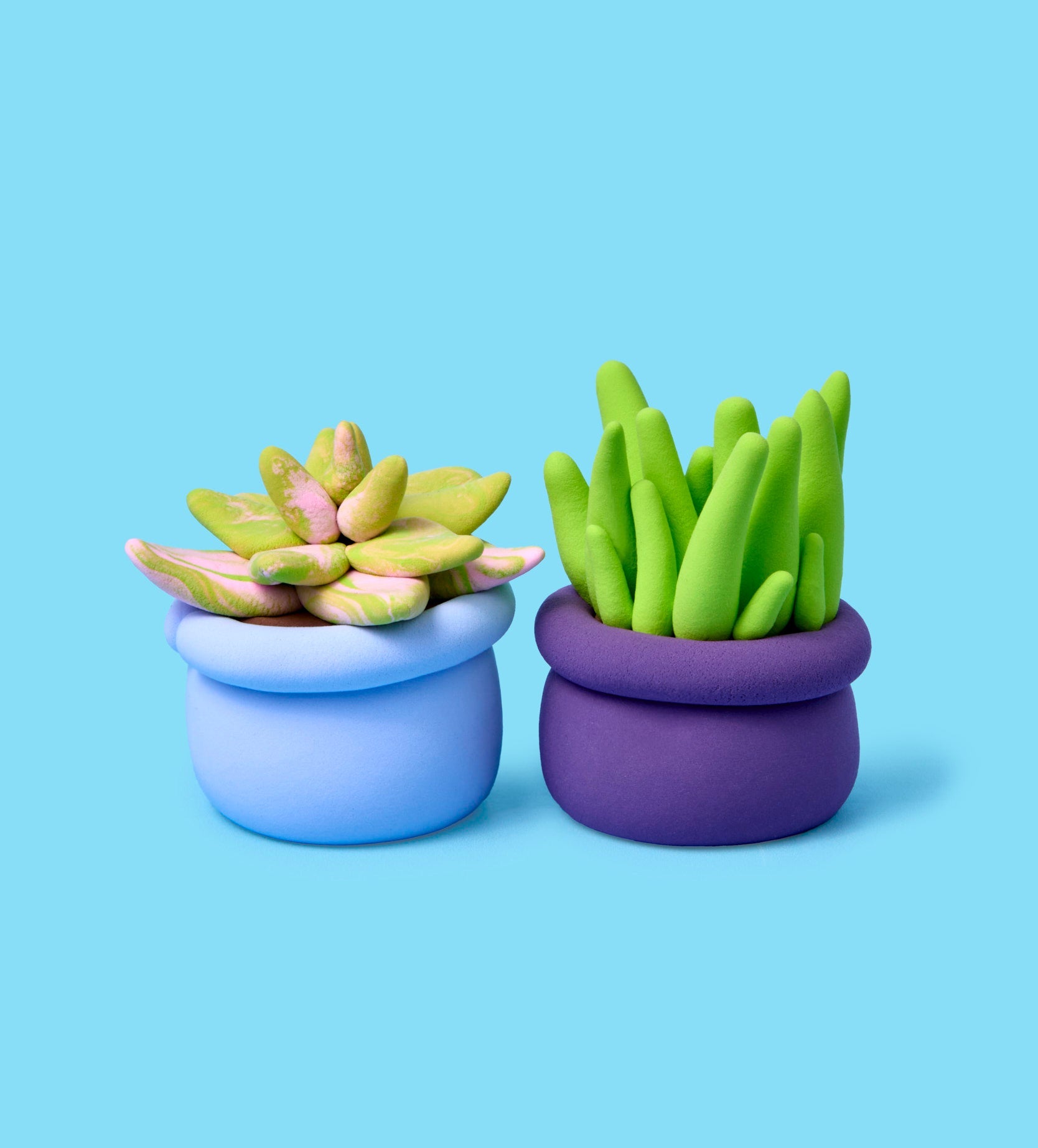 house plant bundle House Plant Bundle – Pott'd EU