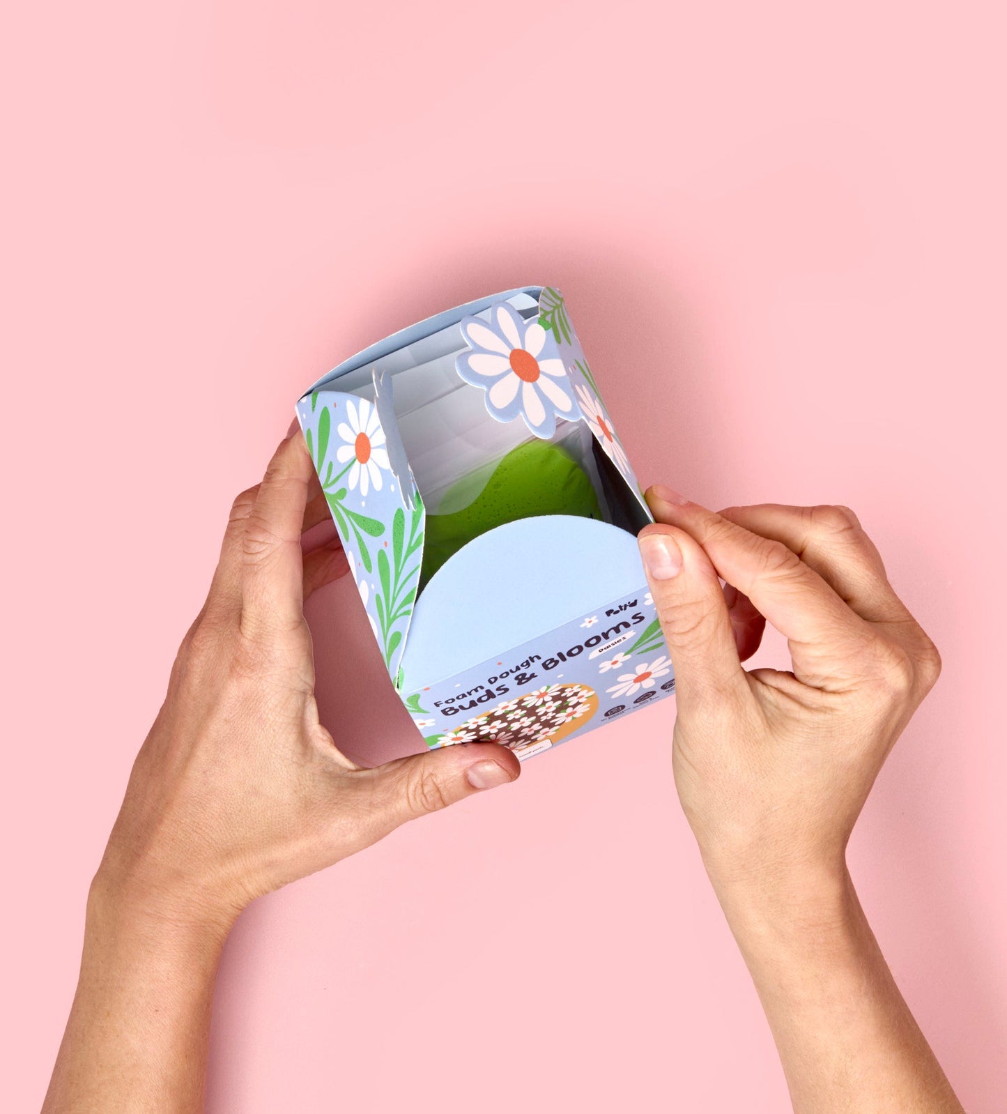 Buds & Blooms: Daisies