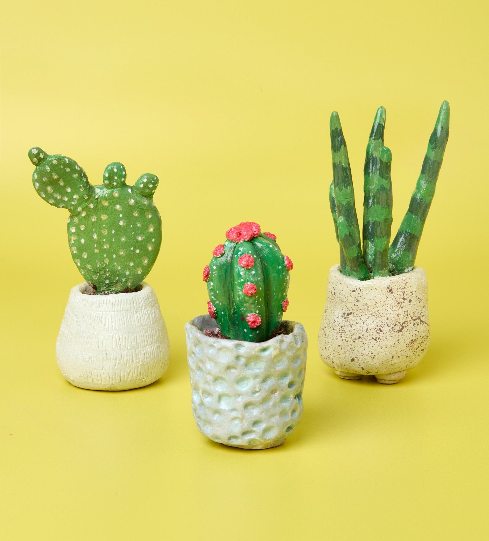 All Home Pottery Kits – Pott'd EU