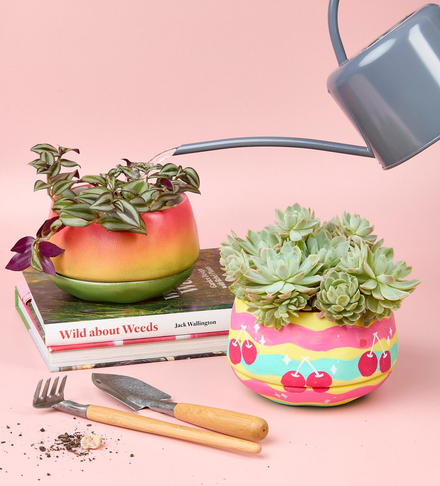 Paint-a-Plant Pot