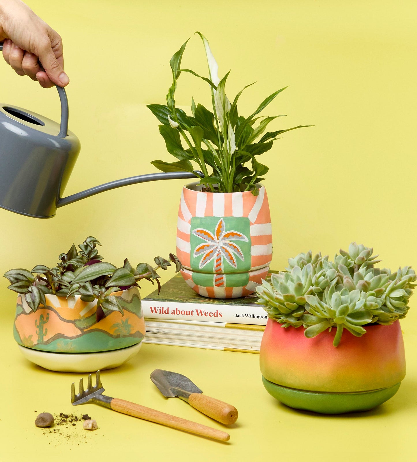 Paint-a-Plant Pot