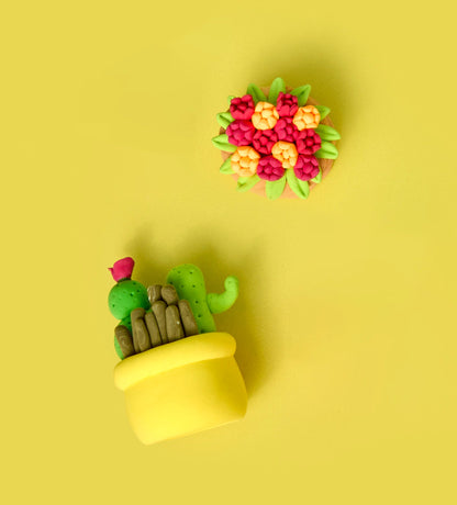 Sweet & Sharp Bundle