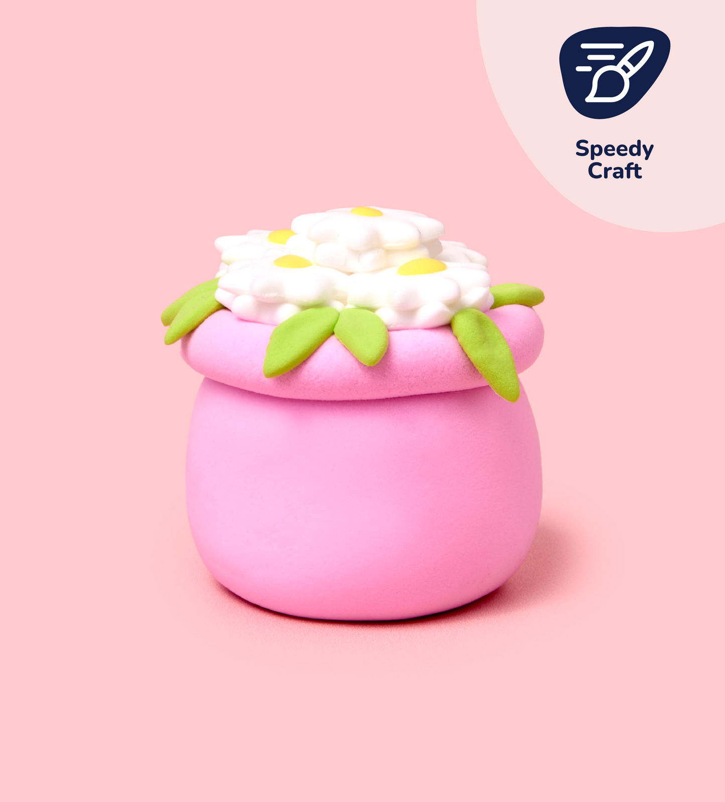 Buds & Blooms: Daisies