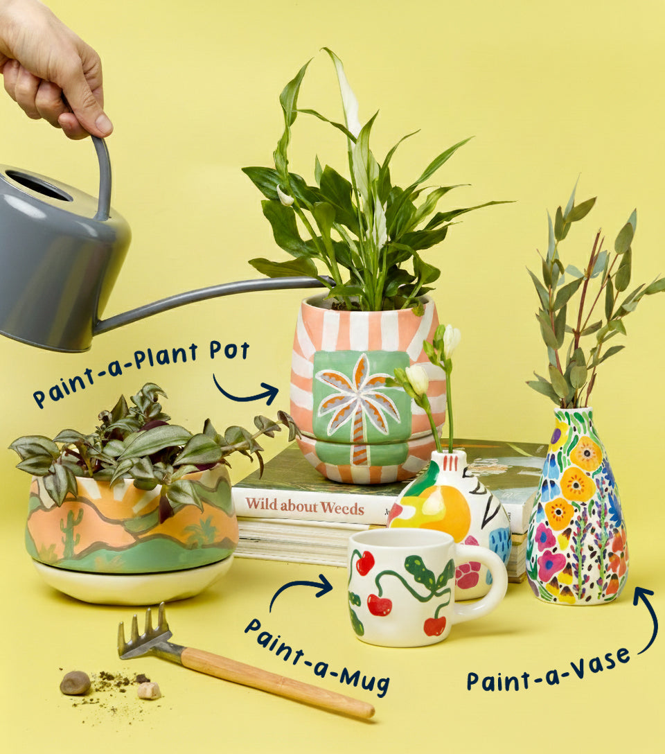 Paintables Mug, Vase & Plant Pot Bundle