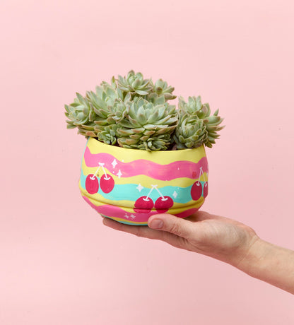 Paint-a-Plant Pot