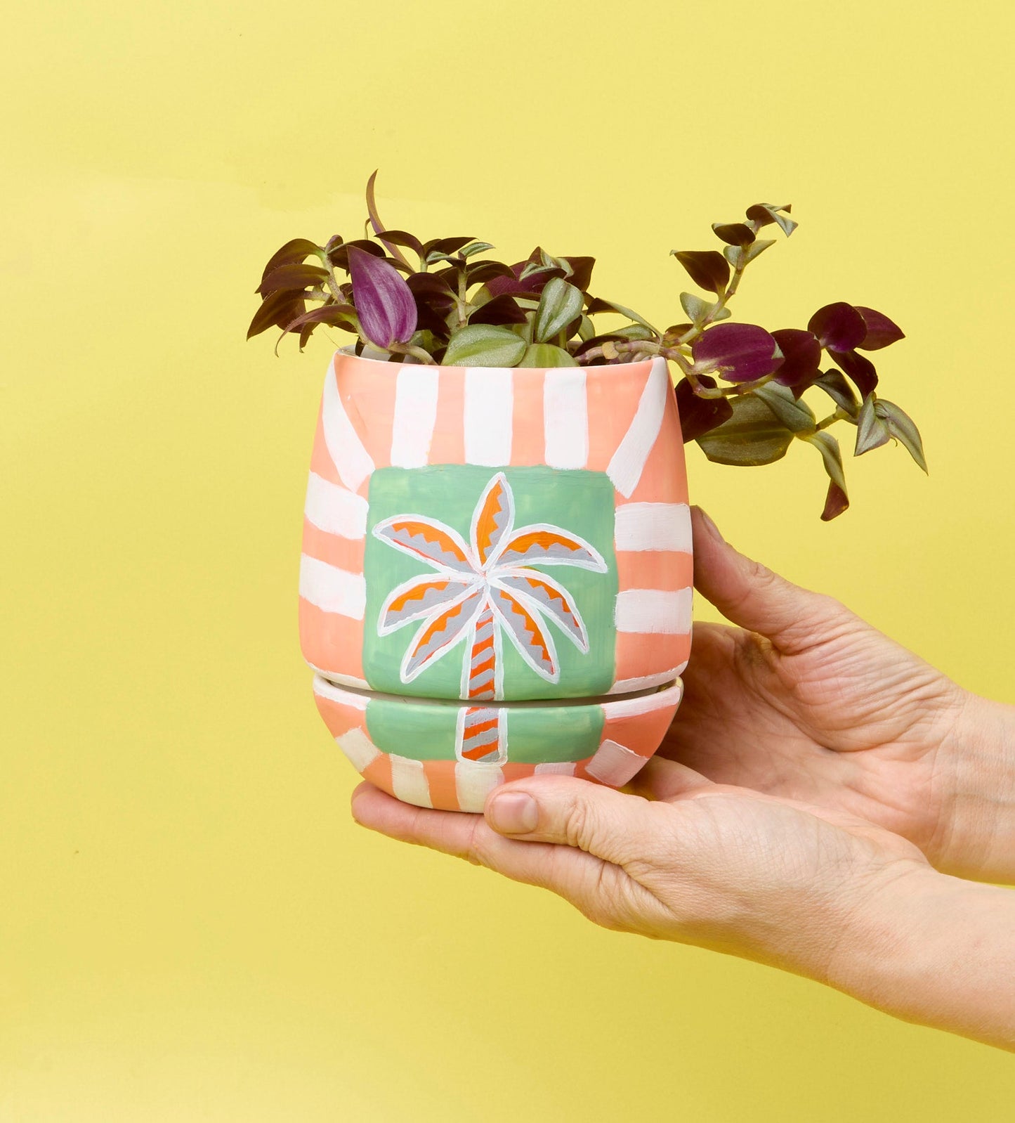 Paint-a-Plant Pot
