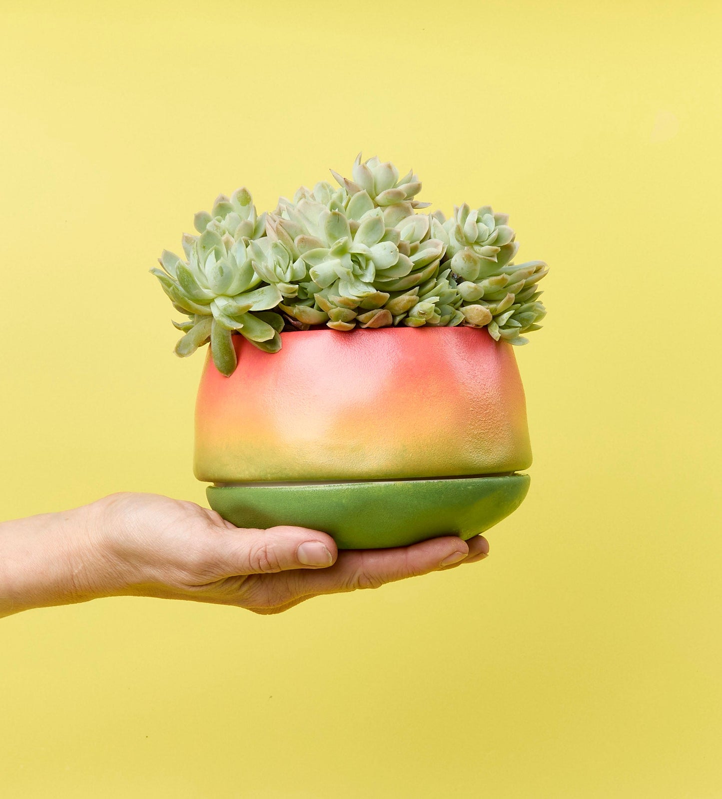 Paint-a-Plant Pot