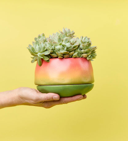 Paint-a-Plant Pot