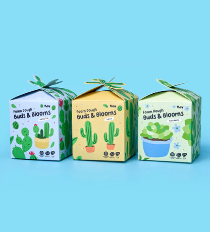 House Plant Collection