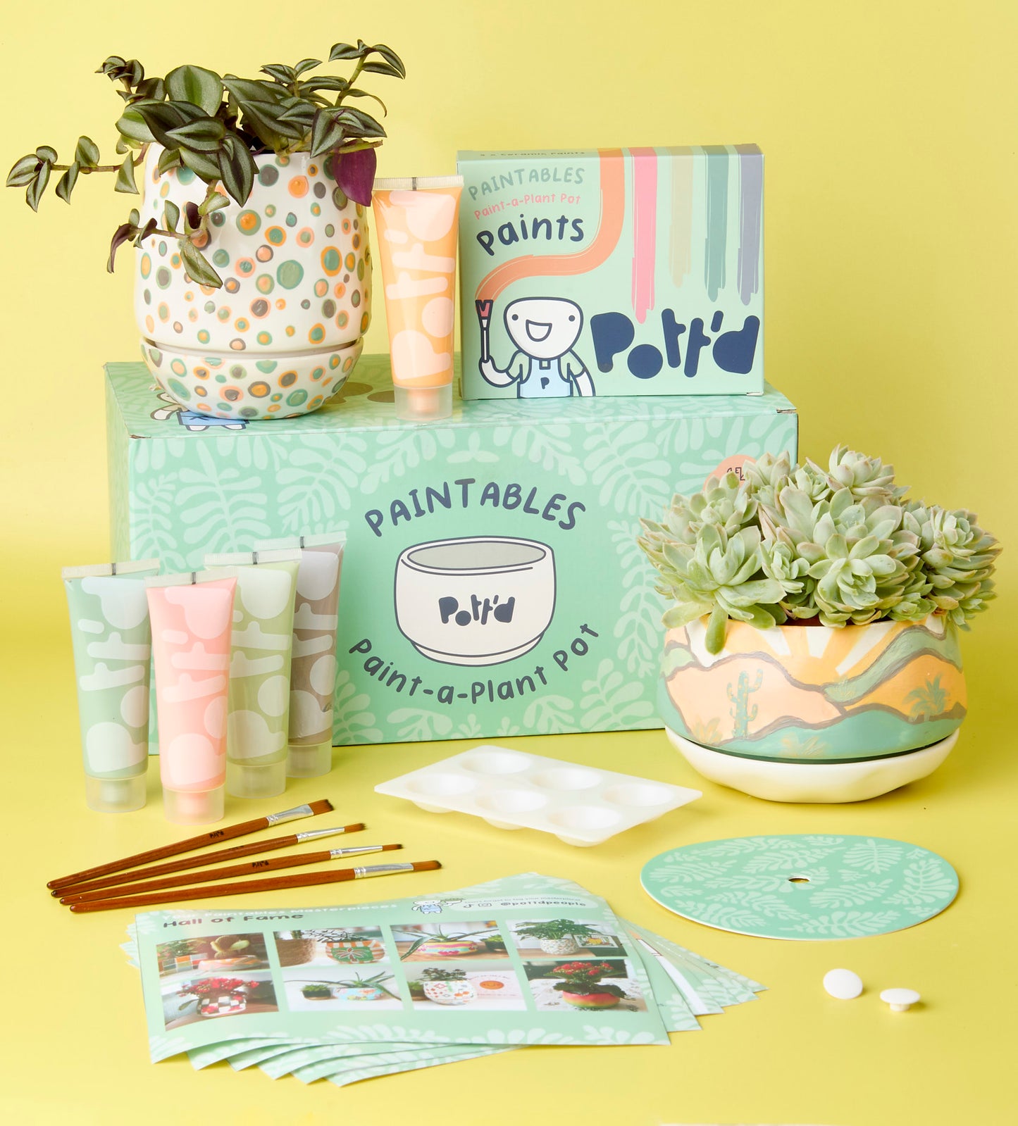 Paintables Mug, Vase & Plant Pot Bundle