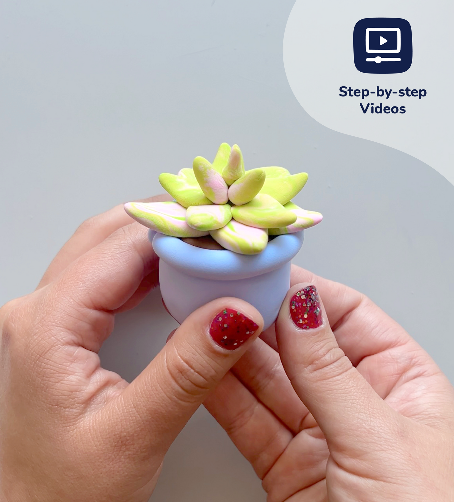 Buds & Blooms: Succulents