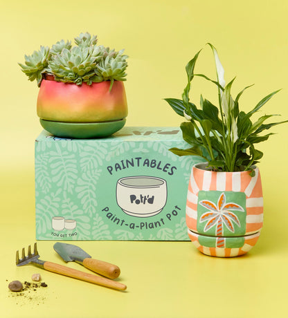 Paint-a-Plant Pot
