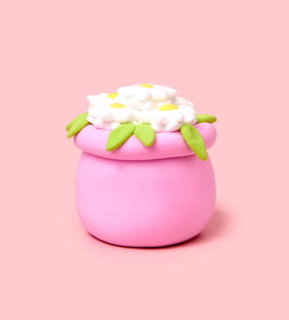 Buds & Blooms: Daisies