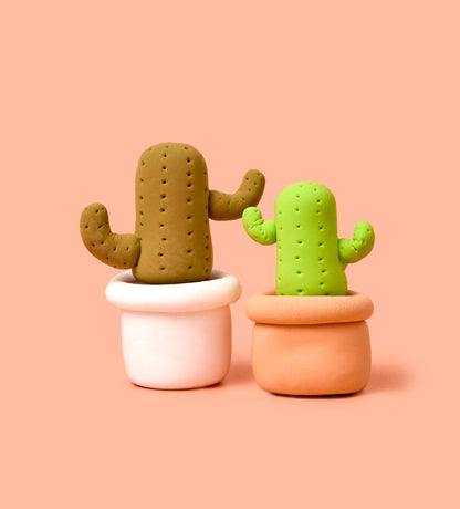 House Plant Collection