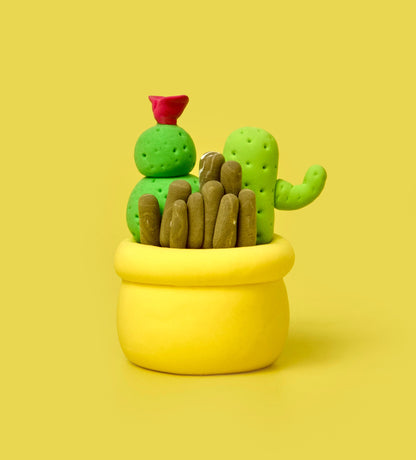 House Plant Collection