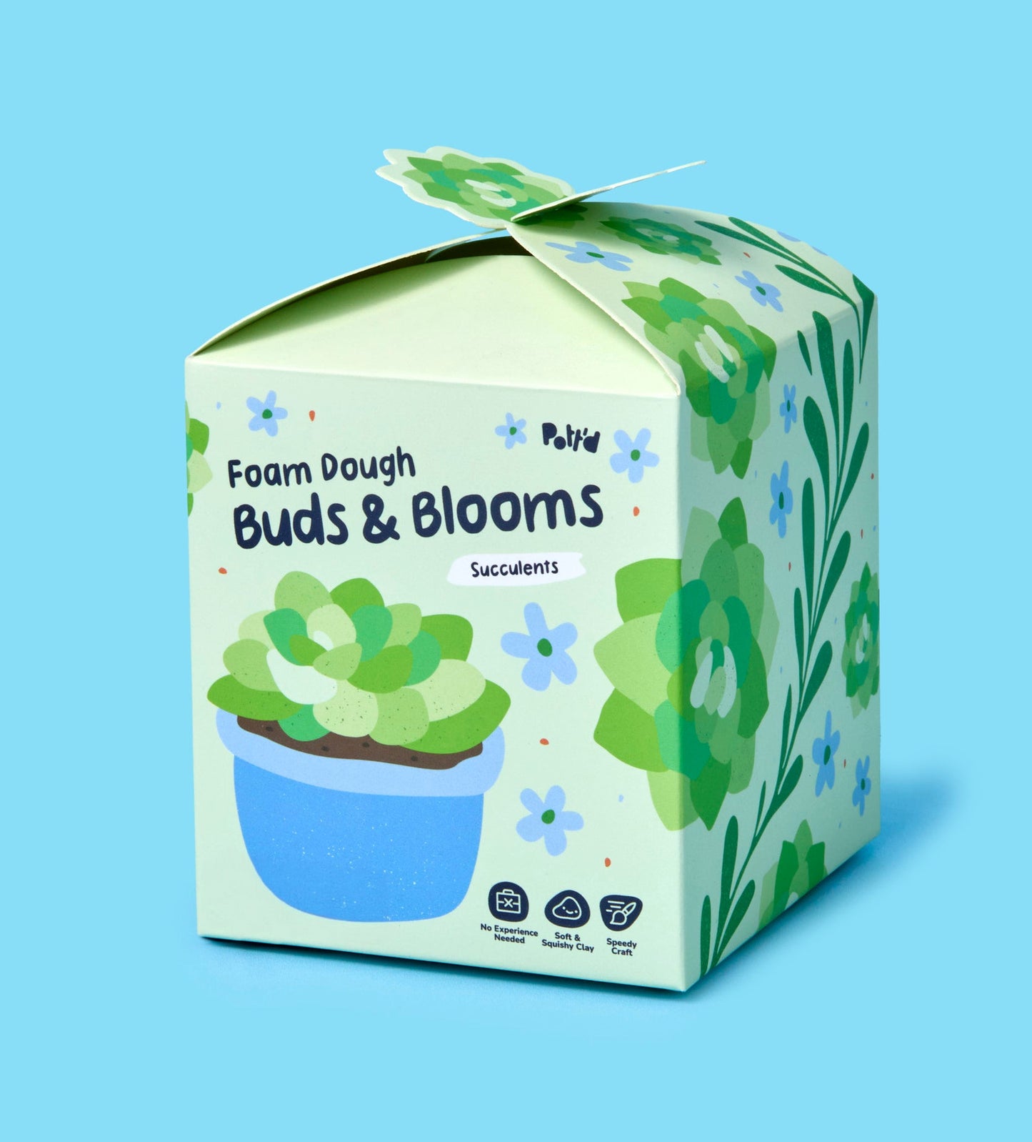 Buds & Blooms: Succulents
