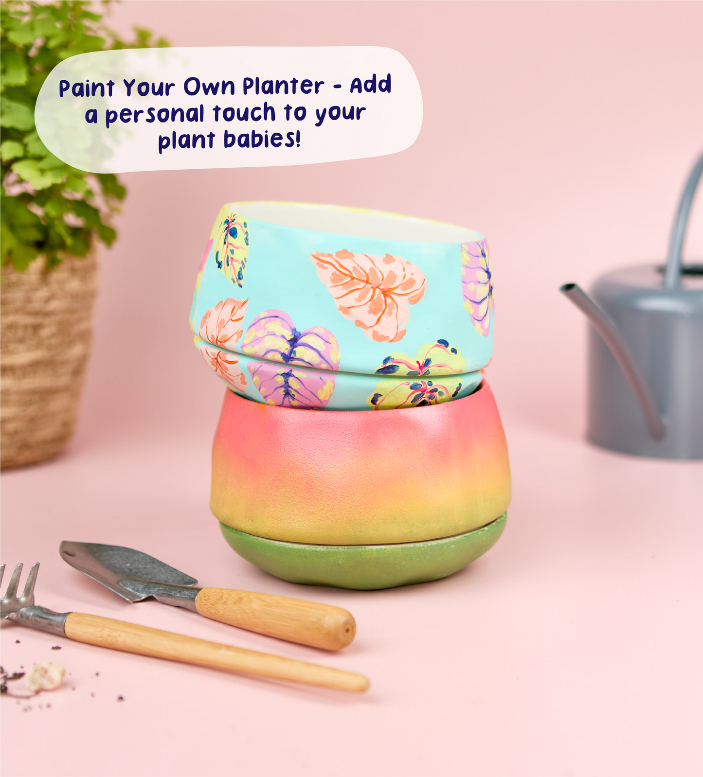 Paint-a-Plant Pot