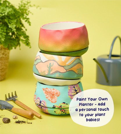 Paint-a-Plant Pot
